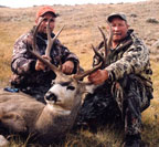 Herb With Wyoming Mule Deer